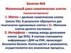 Жизненный цикл соматических клеток (законспектировать). Занятие №6