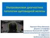 Ультразвуковая диагностика патологии щитовидной железы