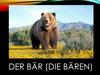 Der Bär (Die Bären)