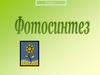 Фотосинтез. 6 класс