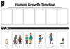 Human Growth Timeline