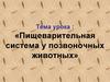 Пищеварительная система у позвоночных животных