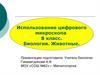 Использование цифрового микроскопа. 8 класс