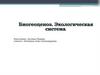Биогеоценоз. Экологическая система