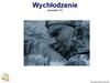 Wychłodzenie (procedura 17)