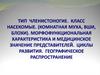 Тип Членистоногие. Класс Насекомые