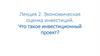 Экономическая оценка инвестиций. Что такое инвестиционный проект?