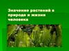 Значение растений в природе и жизни человека