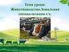 Животноводство.Зональная специализация с/х