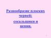 Разнообразие плоских червей. Сосальщики и цепни