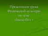 Баскетбол. Урок физической культуры
