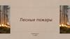 Лесные пожары