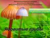 Флора Сахалина и Курильских островов. Ядовитые грибы