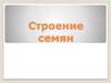 Строение семян