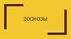 Зоонозы