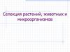 Селекция растений, животных и микроорганизмов