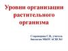 Уровни организации растительного организма
