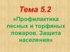 Профилактика лесных и торфяных пожаров. Защита населения