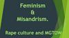 Feminism. Misandrist