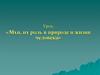 Мхи, их роль в природе и жизни человека