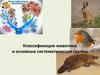 Классификация животных и основные систематические группы