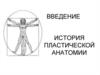 История пластической анатомии