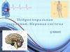Нейрогморальная регуляция. Нервная система