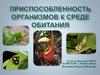 Приспособленность организмов к среде обитания