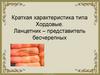 Краткая характеристика типа Хордовые. Ланцетник – представитель бесчерепных