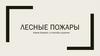 Лесные пожары и способы их тушения