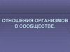 Отношения организмов в сообществе