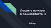 Лесные пожары в Башкортостане