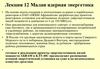Малая ядерная энергетика. Лекция 12