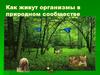 Как живут организмы в природном сообществе