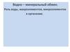 Водно-минеральный обмен