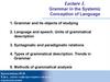 Grammar in the Systemic. Lecture 1