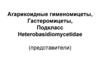 Агарикоидные гименомицеты, Гастеромицеты, Подкласс Heterobasidiomycetidae