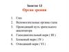 Орган зрения. Занятие 13