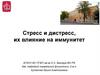 Стресс и дистресс, их влияние на иммунитет