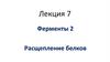 Ферменты. Расщепление белков   (лекция 7)