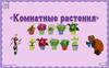 Комнатные растения