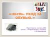 Обувь. Уход за обувью