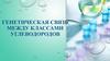 Генетическая связь между классами углеводородов