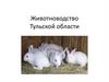 Животноводство Тульской области