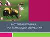 Растровая графика. Программы для обработки