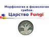 Морфология и физиология грибов. Царство Fungi