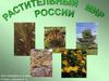 Растительный мир России  (6 класс)