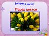 Викторина о цветах "Парад цветов"