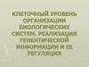 Клеточный уровень организации биологических систем. Реализация генентической информации и ее регуляция