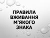 Правила вживання м'якого знака